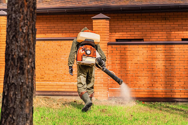 Bed Bug Clearance Verification and Documentation in New Eagle